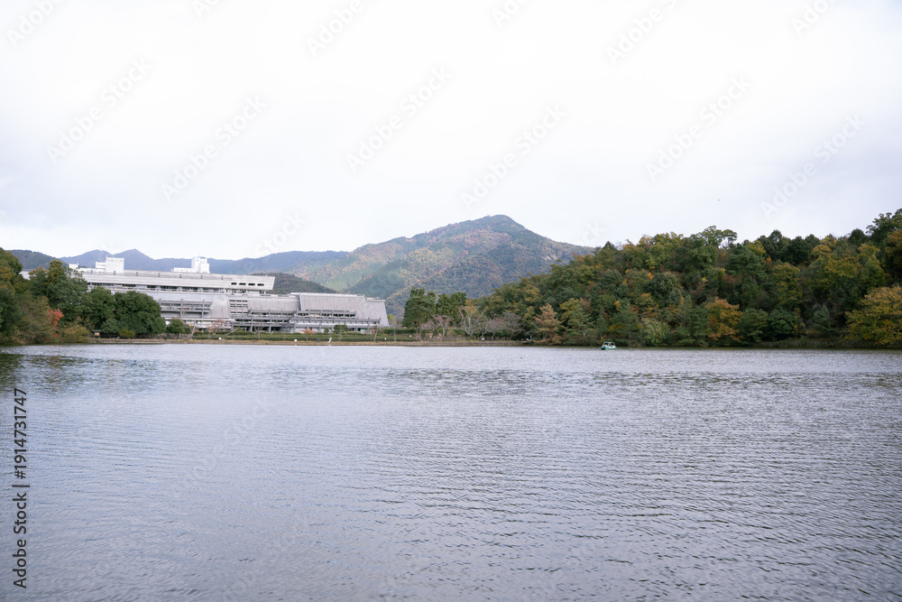 Fototapeta premium 秋の日 池の風景