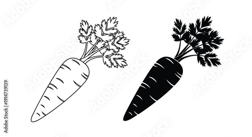 Two carrots depicted in contrasting black and white line art styles