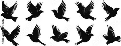 Set of Flying Bird Silhouettes with Spread Wings in Different Poses Isolated on White Background