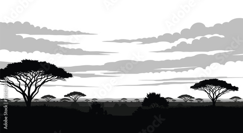 Silhouetted acacia trees against a dramatic sky at sunset in africa