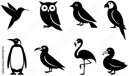 Bird silhouette illustration set, owl and hummingbird icons, parrot and toucan design, penguin and flamingo shapes, black and white avian art