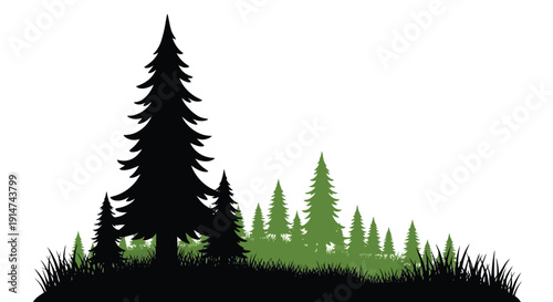 Silhouette of evergreen trees against a white background landscape