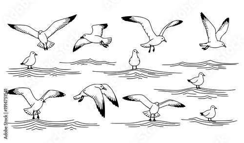 Hand-drawn seagulls vector set flying over sea waves World Maritime Day illustration