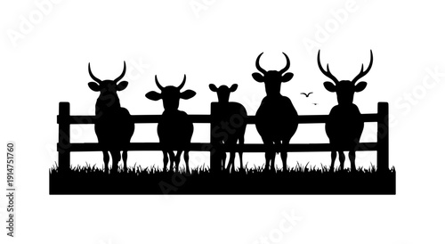 Five Silhouetted Cows Standing Behind a Fence