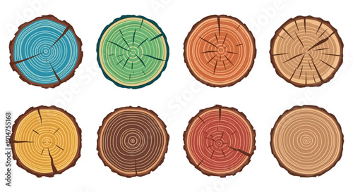 Colorful cross sections of wood logs arranged in a grid pattern