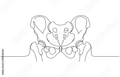 Human pelvic bone in continuous one line drawing.