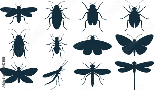 Insect silhouette vector icon set, bug beetle butterfly dragonfly and fly collection, isolated illustration bundle pack design template