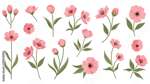 Set of various pink flower stems and blossoms with green leaves isolated on white for botanical arrangements.