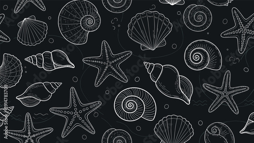 Seamless pattern with white line art drawings of sea shells and starfish on a dark black background for marine theme.