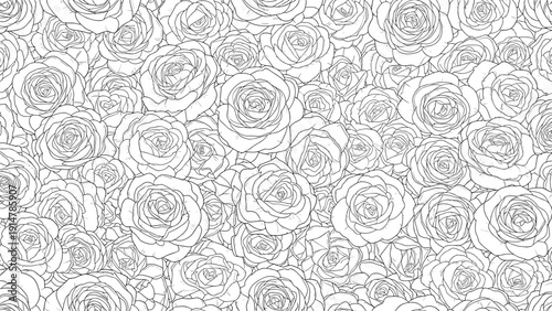 Intricate seamless pattern featuring black line art of numerous roses packed closely together on a clean white background for coloring or design.