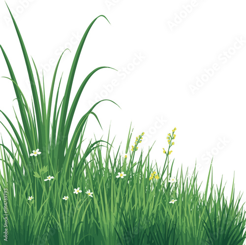 I Need A Kind of Different vector Art with a white background grass photo
