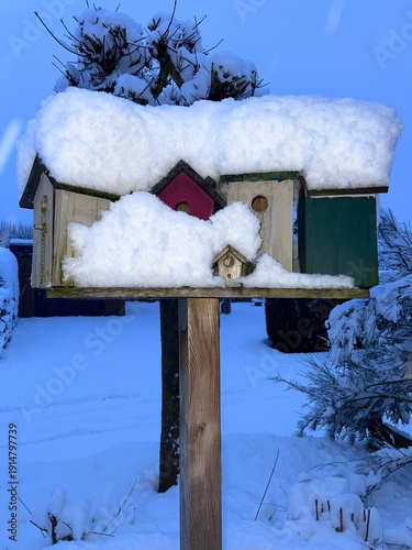 Bunte amerikanische Vogelhäuser im Schnee