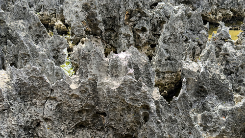 Sharp Limestone Rock Formation Close Up Texture