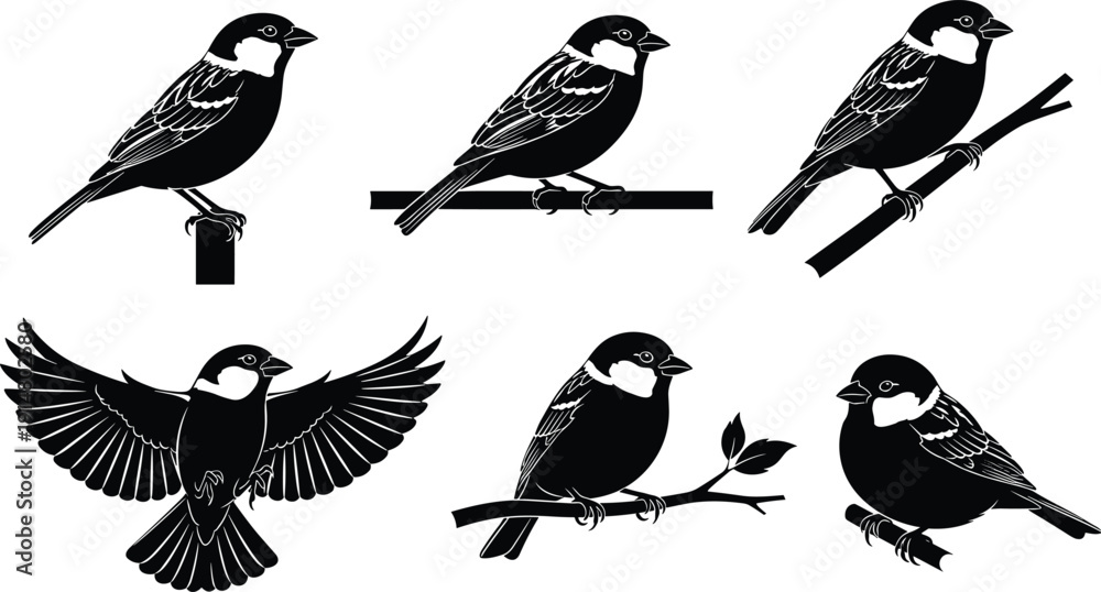 Fototapeta premium Sparrow Bird Silhouette Set with Perching and Flying Poses Black Vector Illustration Isolated on Light Background for Wildlife Nature Design