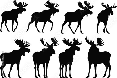 Black Moose Silhouette Set Featuring Bull Elk Antlers in Various Walking and Standing Poses Isolated on White Background for Wildlife Nature Vector Design Projects