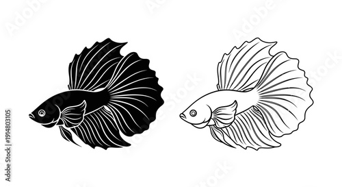 Two black and white fish swimming in opposite directions, vector illustration Vector