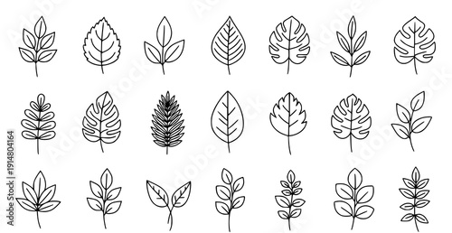Professional vector set of red botanical decorative corner elements arranged neatly on a solid white background. Each corner features stylized leaf branches, curved vines, and ornamental flourishes in