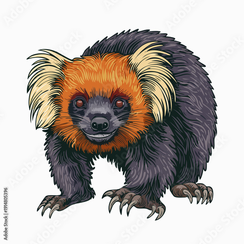 Detailed illustration of a lemur with striking orange and white fur standing on all fours.