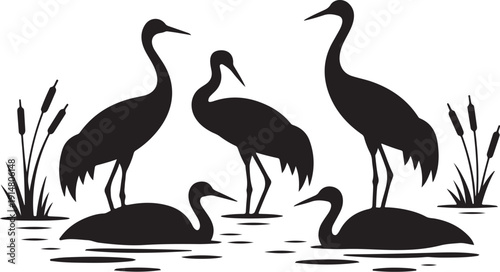 Black Silhouettes of Cranes and Swans in a Marsh white