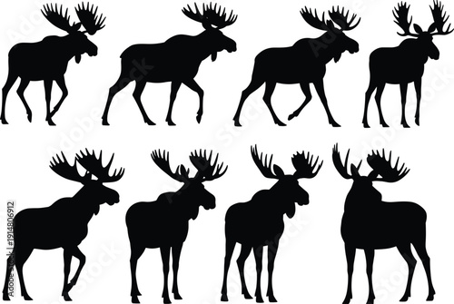 Black Moose Silhouette Vector Set Featuring Bull Elk with Large Antlers in Various Walking and Standing Poses Isolated on White Background for Wildlife Design