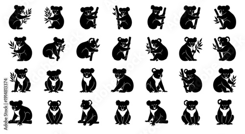 Set of black koala silhouettes in various poses with eucalyptus leaves on white background for design and decoration
