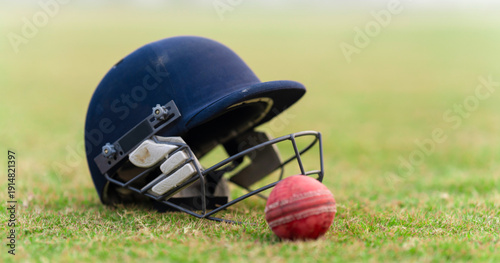 A single cricket ball placed on fresh green grass on a cricket ground.