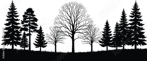 Set of various tree silhouettes including pine, spruce and bare deciduous trees, forest nature landscape vector illustration, isolated on white.