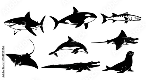 Collection of marine animals silhouettes including shark, orca, dolphin, and seal, illustrated in black on a white background, viewed from the side.