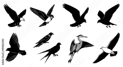 Various birds in flight, showcasing different species and wing positions from a side viewpoint