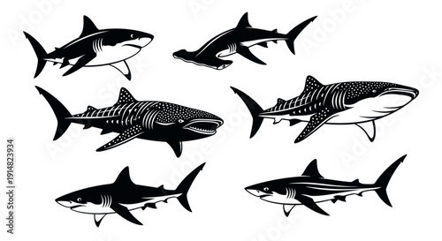 Set of various shark species illustrated in black and white, different types depicted