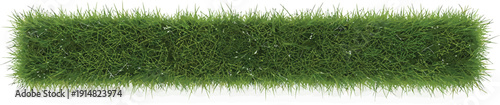 Green Grass Border on White Background