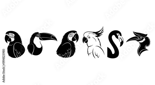 Illustration of various exotic birds including toucans, parrots, and flamingos in a stylized formation