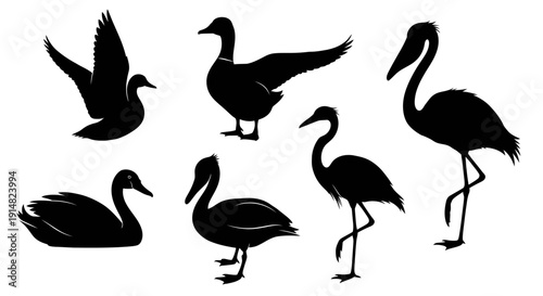 Collection of various bird silhouettes in different poses and actions on a plain background