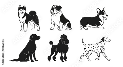 Collection of dog illustrations in various breeds and poses, showcasing different sizes and coat patterns, vector graphics.