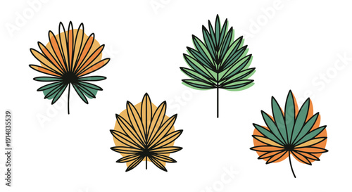 Palm Leaf Line art minimal modern color vector