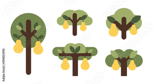 Pear Tree Line art colorful design concept illustration
