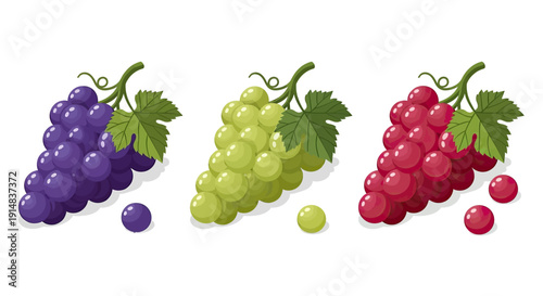 Three vibrant bunches of grapes in purple, green, and red hues.