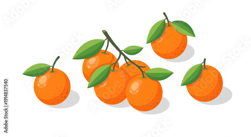 Vibrant fresh oranges with green leaves on a branch and scattered.