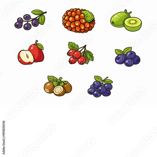 8 Fruits Starting with the Letter H - Volume 1 Illustration Set