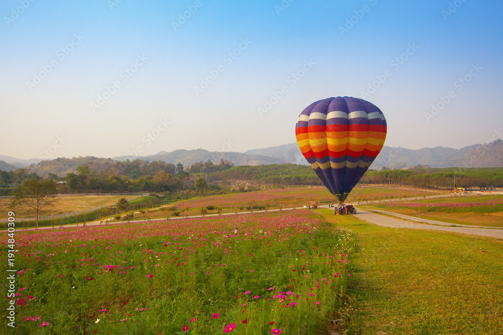 Fototapeta premium Hot air balloon colourful in the garden cosmos flower