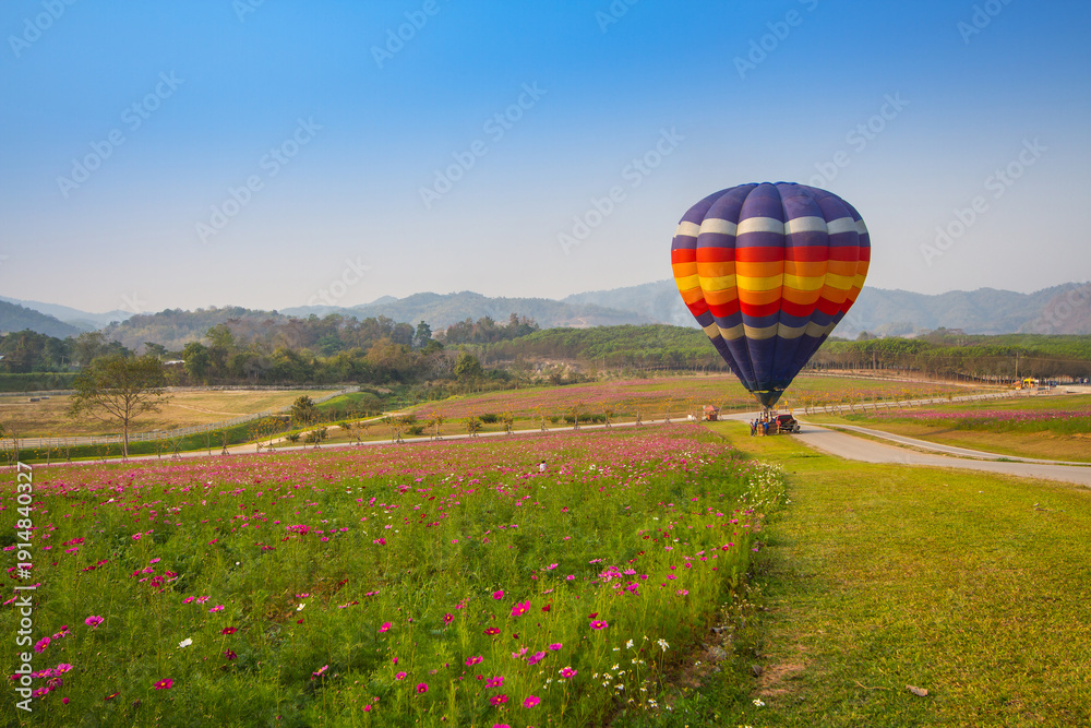 Fototapeta premium Hot air balloon colourful in the garden cosmos flower