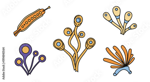 Phytoplankton Line abstract color vector design