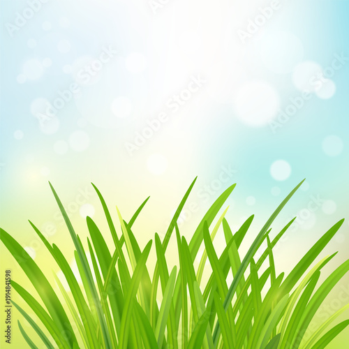 Clean spring green vector background with grass , bokeh,  for marketing materials, presentations, and online use