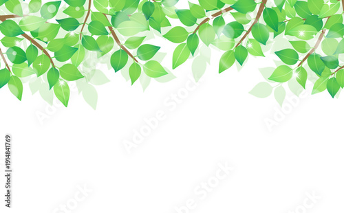 新緑のフレーム3_横