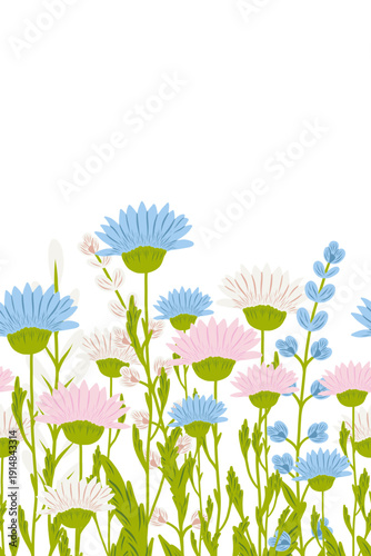 Floral frame with wild flowers. Botanical design, horizontal decoration. Blossoms, leaves, summer nature. Meadow wildflowers mix, decor. Flat vector illustration isolated on white background.