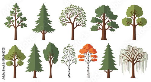 Diverse Collection of Stylized Trees in Flat Design
