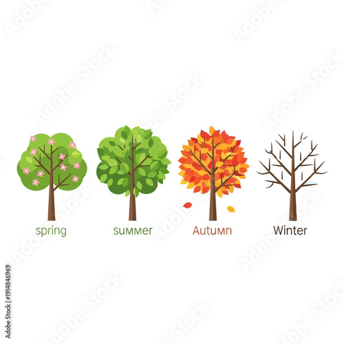 Four Seasons Tree Evolution: Spring, Summer, Autumn, Winter
