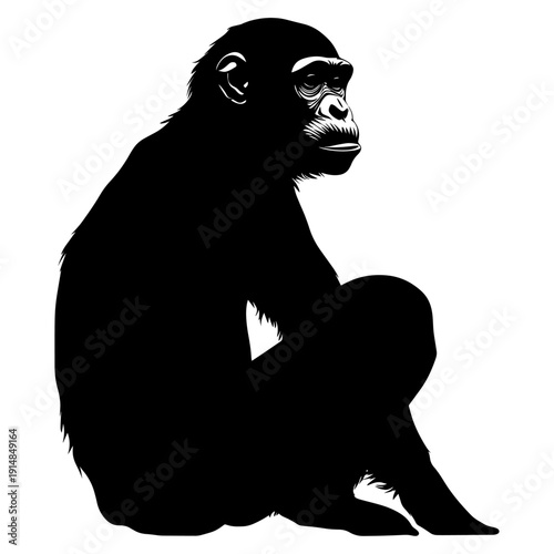 Sitting chimpanzee silhouette profile illustration of great ape
