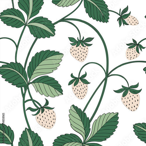 An illustration of white strawberries and green leaves on a vine