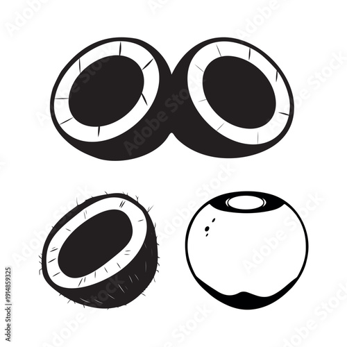 Black and White Coconut Illustration Set